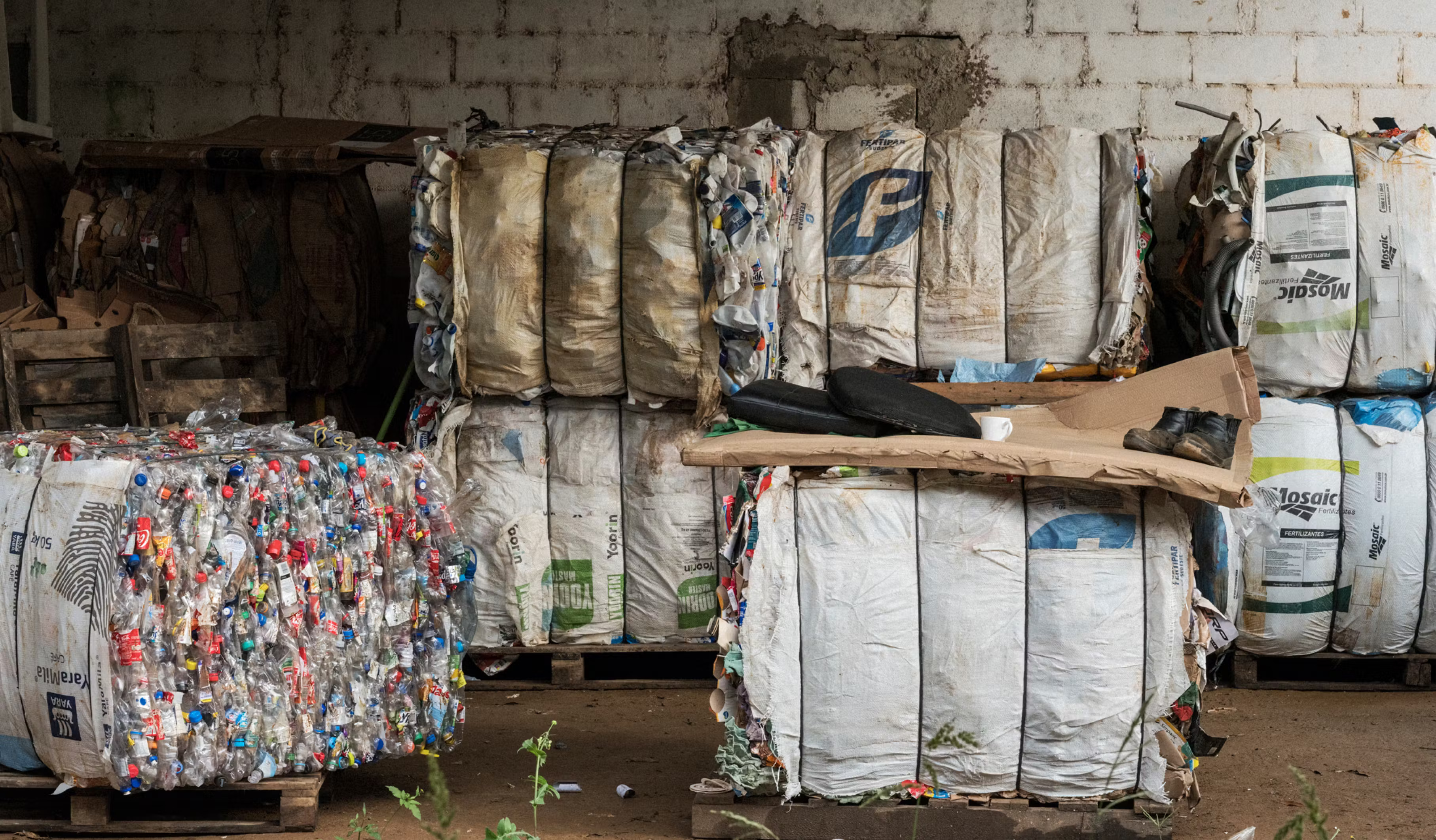 Garrafas plásticas recicladas a tênis inovadores